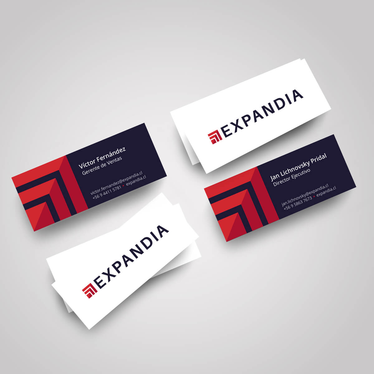 Expandia – Corporate Design